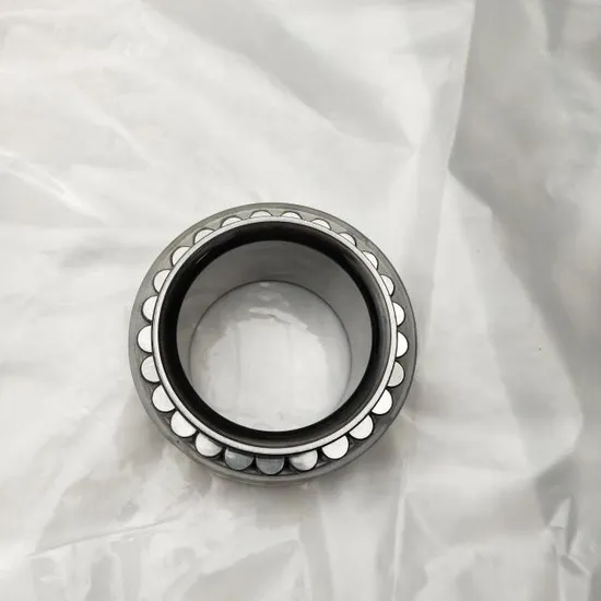 38X52-950X28mm-Size-Chrome-Steel-Cpm-2164-Full-Complement-Bearing-Cpm2164-Cylindrical-Roller-Bearing