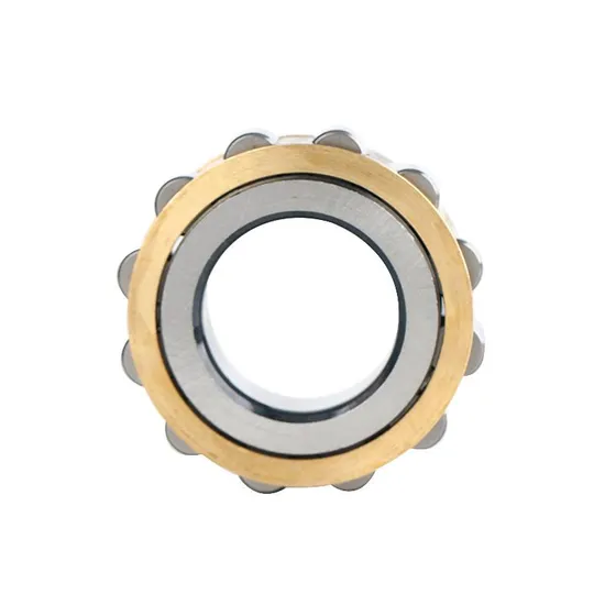 Factory Price Rn307 Eccentric Cylindrical Roller Bearing