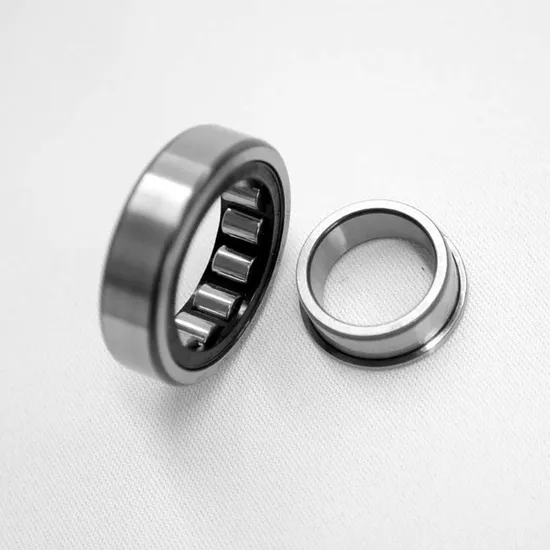 Durable-Double-Roller-Cylindrical-Bearing-for-Industrial-Applications
