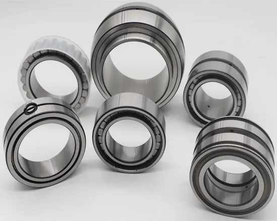 Durable-SL04-5032-PP-Bearing-with-160X240X109mm-Dimensions