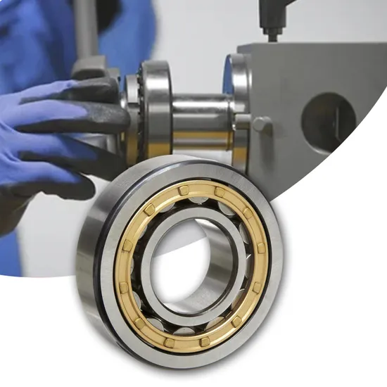 Cylindrical Roller Bearing Factory Price High Precision 10 Types