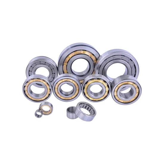 High-Performance-Full-Complement-Cylindrical-Roller-Bearing-SL04-5007PP