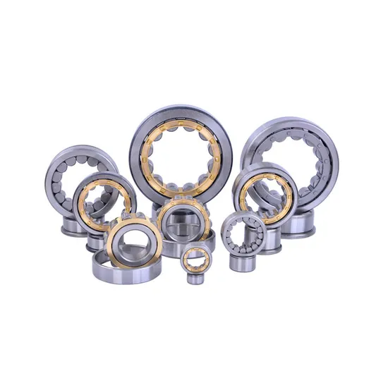 High-Performance-Full-Complement-Cylindrical-Roller-Bearing-SL04-5007PP