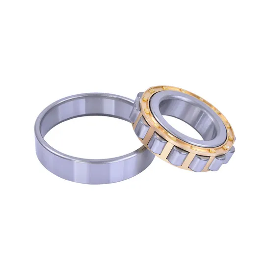 High-Performance-Full-Complement-Cylindrical-Roller-Bearing-SL04-5007PP