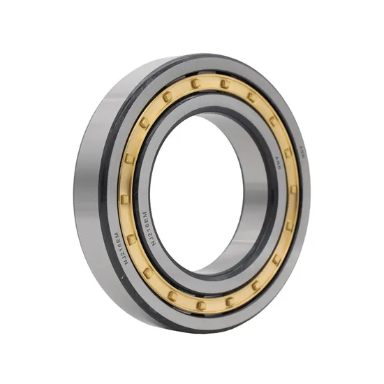 High-Performance-Nn-3064-Cylindrical-Roller-Bearings-for-Motors