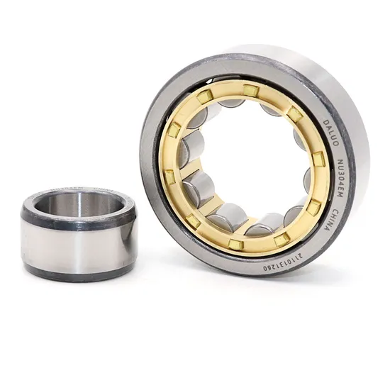 High Precision Nu304em Roller Bearing 20X52X15 Factory Price