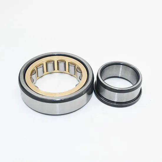 Factory Price 25X52X15mm Brass Cage NJ205 Roller Bearing