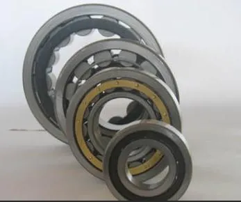 Nup309 Cylindrical Roller Bearing for HOWO Trucks Factory Price
