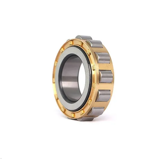 Premium-Eccentric-Cylindrical-Roller-Bearings-Rn312-60X113X31