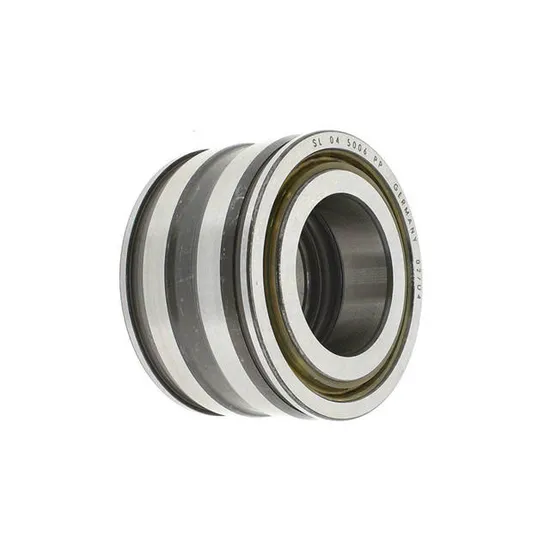 Premium-Eccentric-Cylindrical-Roller-Bearings-Rn312-60X113X31