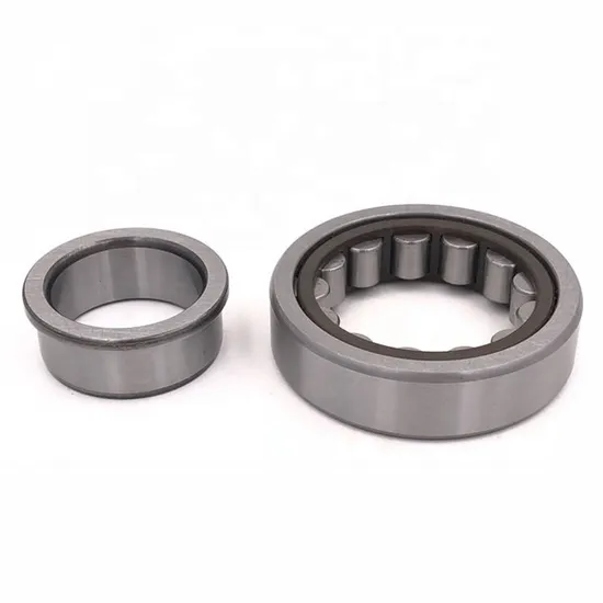 Premium-Eccentric-Cylindrical-Roller-Bearings-Rn312-60X113X31