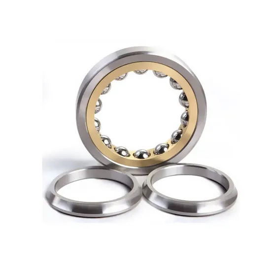 Premium-Eccentric-Cylindrical-Roller-Bearings-Rn312-60X113X31
