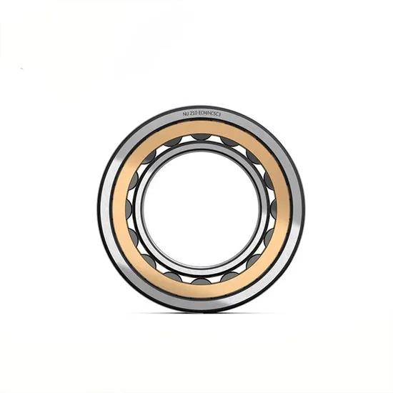 Premium Four Row Cylindrical Roller Bearing Factory Price