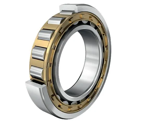 Premium Lro Cylindrical Roller Bearings 2o120_11 Factory Price