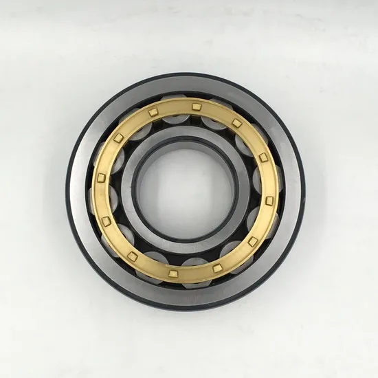 Premium-Nj203etn1-Automotive-Cylindrical-Roller-Bearing-for-Wheel-Hubs