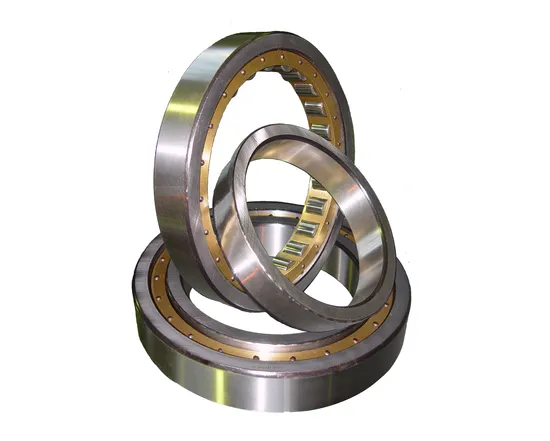 Premium-Nu-3040X3-M-C4-Cylindrical-Roller-Bearings-for-Heavy-Duty-Applications2-