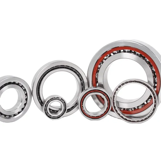 Premium-Nup307-Nup308-Nup309-Nup310-Cylindrical-Roller-Bearings
