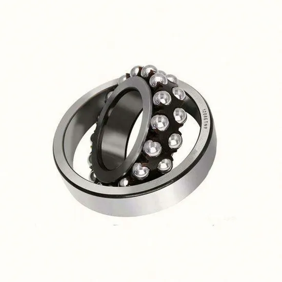 Premium 1204 Etn9 Self-Aligning Ball Bearings Factory Price