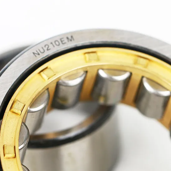 Premium Tapered Roller Bearings Nu204em Nu205em Factory Price