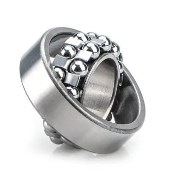 Rn202 Self-Aligning Ball Bearing 15x35x11mm Factory Price