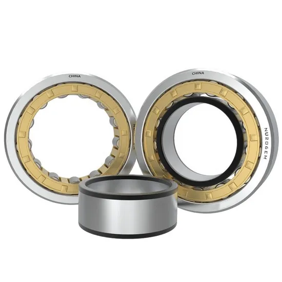 Rsl182207-Full-Complement-Cylindrical-Roller-Bearing-for-Heavy-Loads