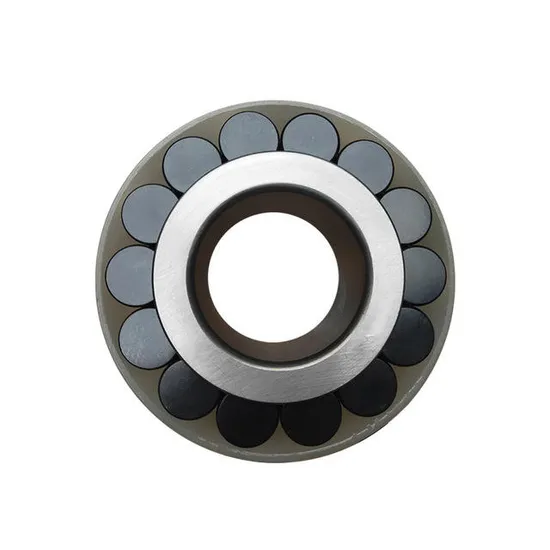 Rsl182207-Full-Complement-Cylindrical-Roller-Bearing-for-Heavy-Loads